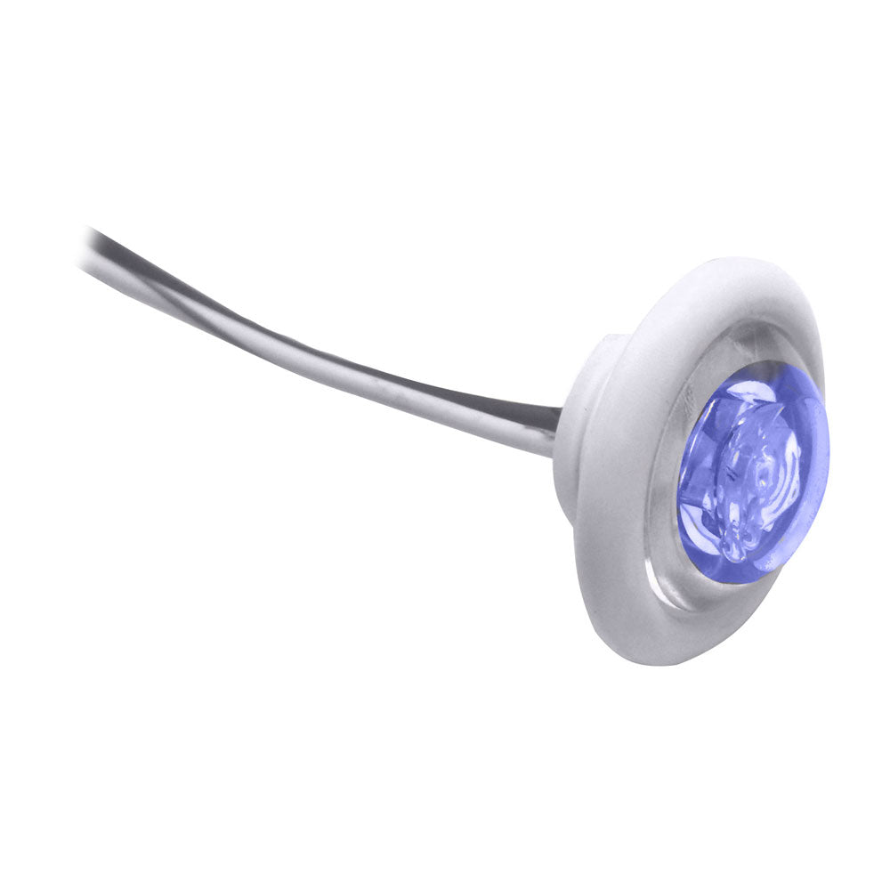 Tri-Water Marine | Innovative Lighting LED Bulkhead/Livewell Light "The Shortie" Blue LED w/ White Grommet [011-2540-7]